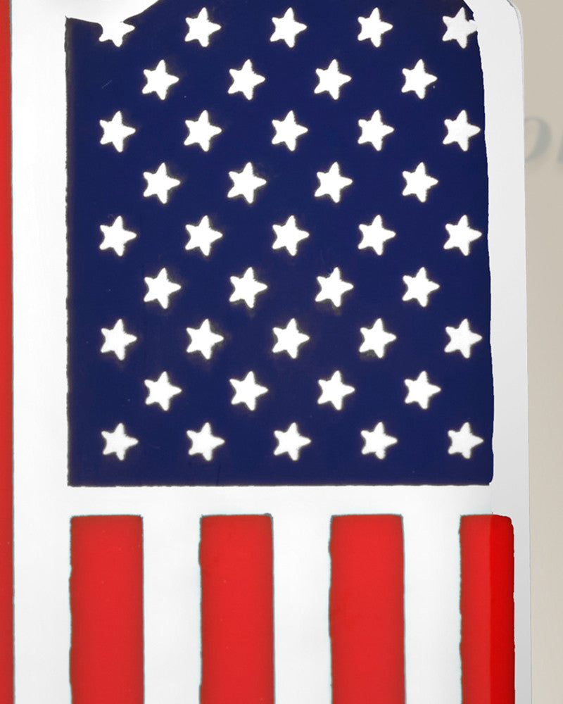 Silver American Flag Ash Resin Jewelry