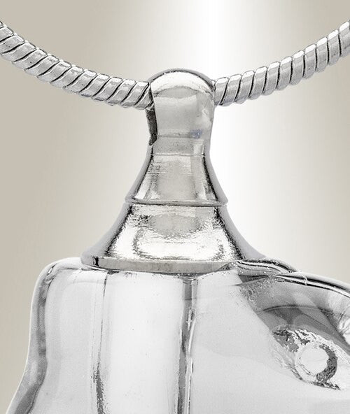 Glass Locket Clear Dolphin Cremation Jewelry
