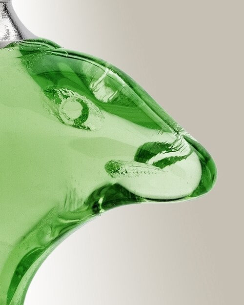 Glass Locket Green Dolphin Cremation Jewelry