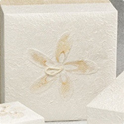 Winter Morning Biodegradable Urn