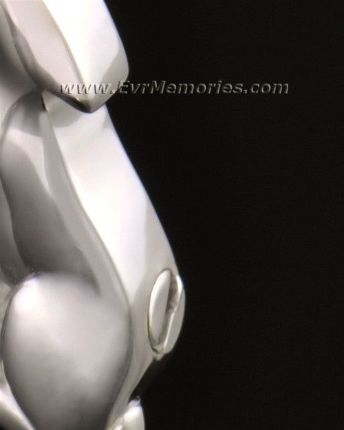 14k White Gold Deserving Dog Memorial Locket