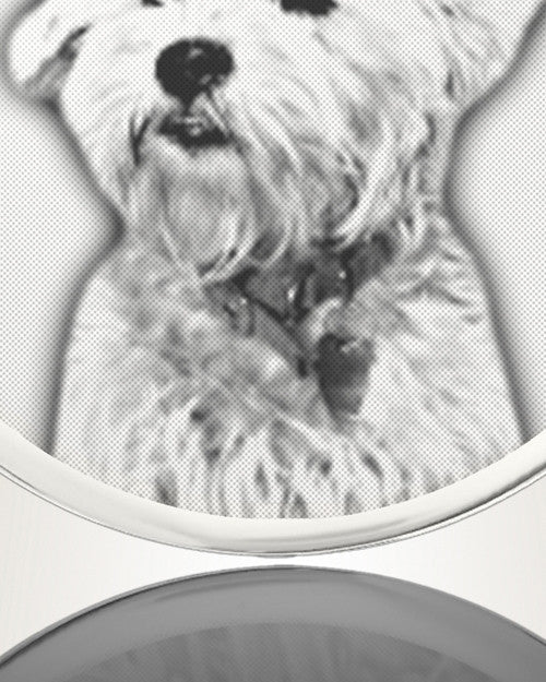 Round Picture Engraved Stainless Pet Keepsake
