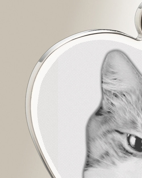 Heart Photo Engraved Stainless Pet Keepsake