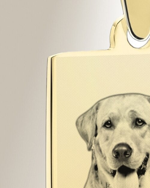 Rectangle Photo Engraved Gold Plated over Stainless Pet Keepsake