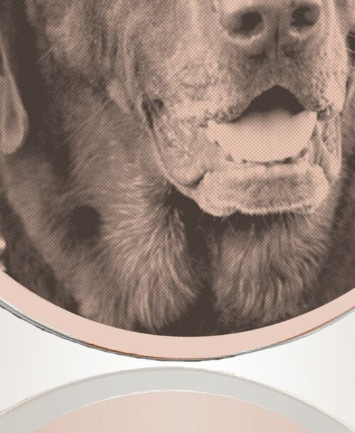 Round Rose Gold Plated Photo Engraved Pet Ash Pendant