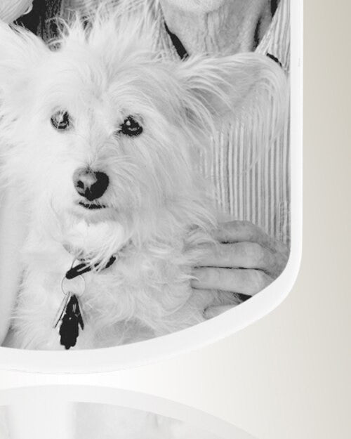 Large Dog Tag Photo Engraved Stainless Pet Keepsake