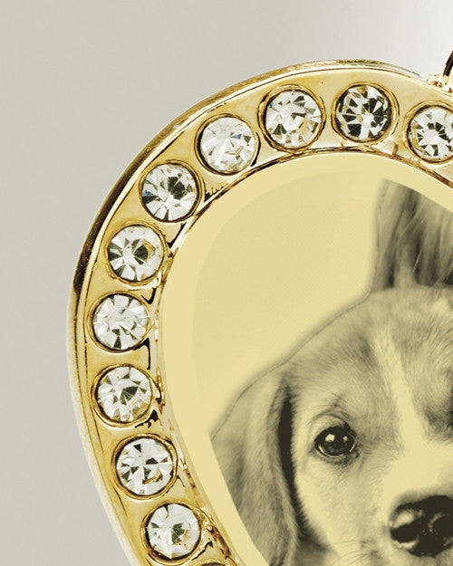 Gem Heart Photo Engraved Gold Plated over Stainless Pet Keepsake