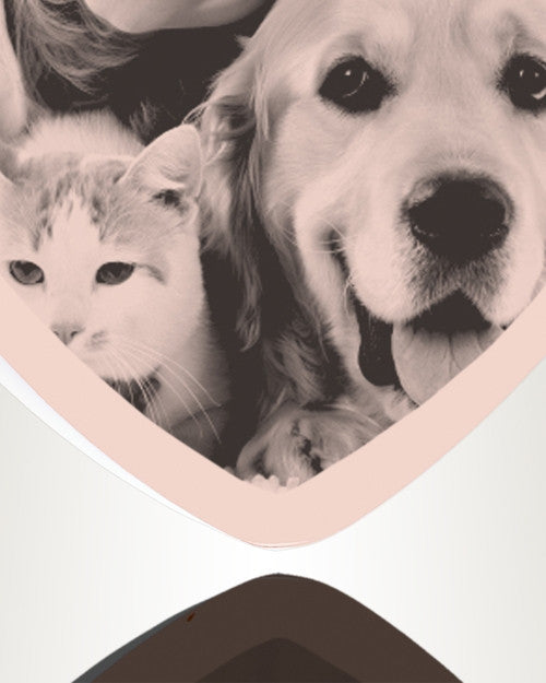 Heart Rose Gold Plated Picture Engraved Ash Pet Pendant