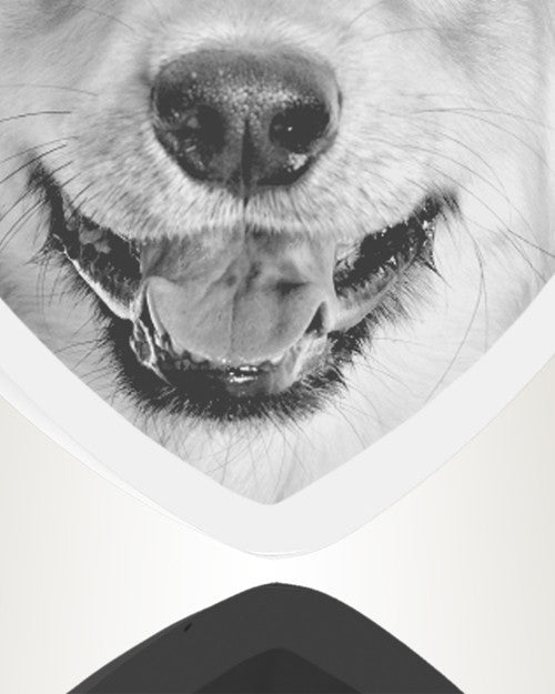Heart Stainless Steel Photo Engraved Ash Pet Pendant