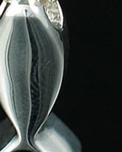 Sterling Silver Fishy Funeral Jewelry