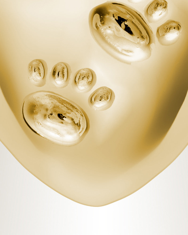 Gold Plated Remember Me Heart Cremation Jewelry