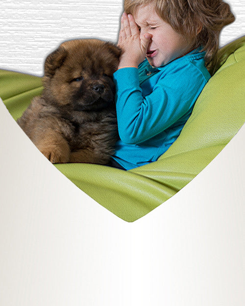 Pet Small Heart Color Photo Engraved Stainless Keepsake