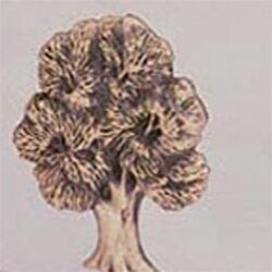 Oak Tree Urn