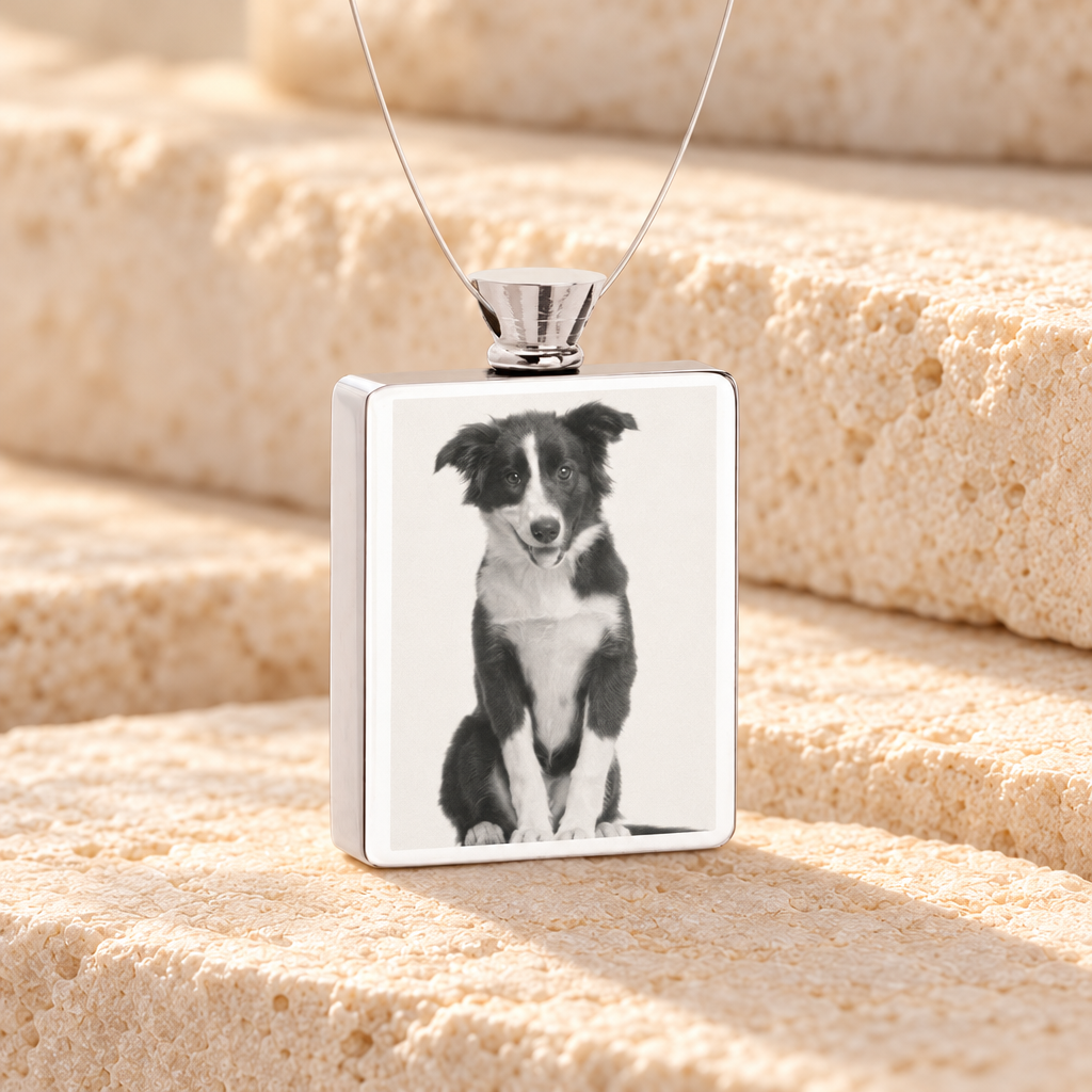 Rectangle Stainless Steel Photo Engraved Pet Ash Guardian — main — evr7414ss