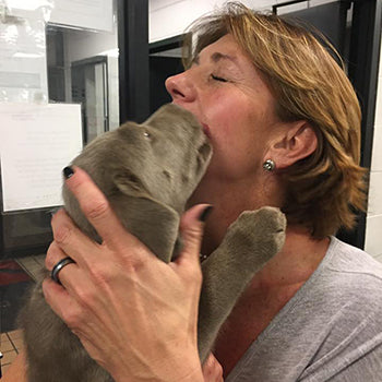 Whoever said that diamonds are a girls best friend…Never owned a dog