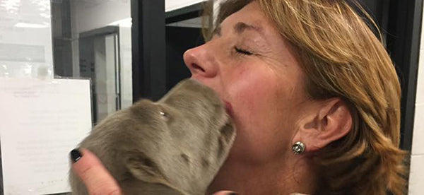Puppy Love - Spring has Sprung!