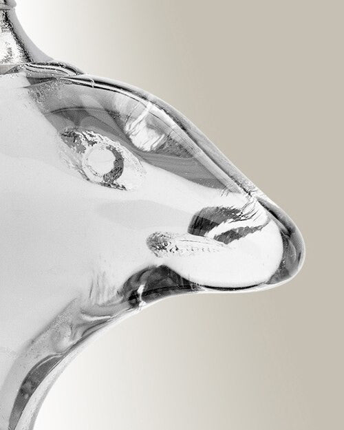 Glass Locket Clear Dolphin Cremation Jewelry