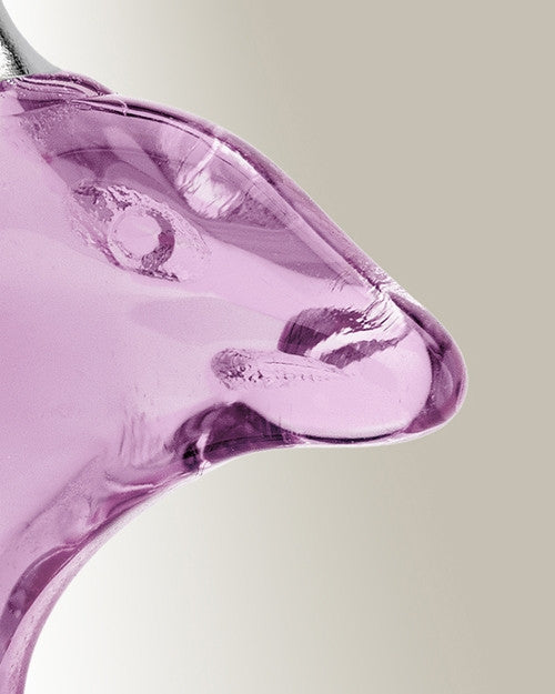 Glass Locket Pink Dolphin Cremation Jewelry