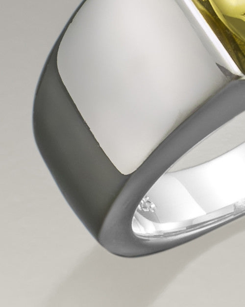Men's Silver Worthy Ring Jewelry Urn