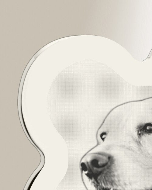 Bone Photo Engraved Silver Pet Keepsake