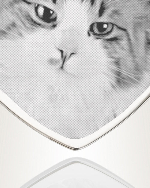 Heart Photo Engraved Stainless Pet Keepsake
