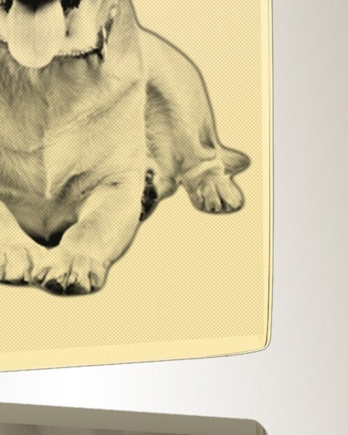 Rectangle Photo Engraved Gold Plated over Stainless Pet Keepsake