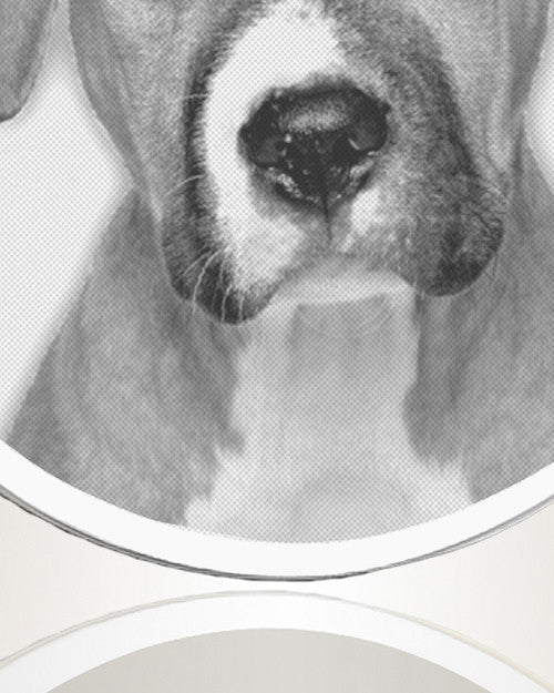 Round Stainless Steel Photo Engraved Pet Ash Pendant