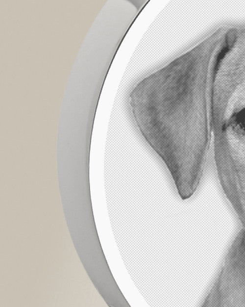 Round Stainless Steel Photo Engraved Pet Ash Pendant