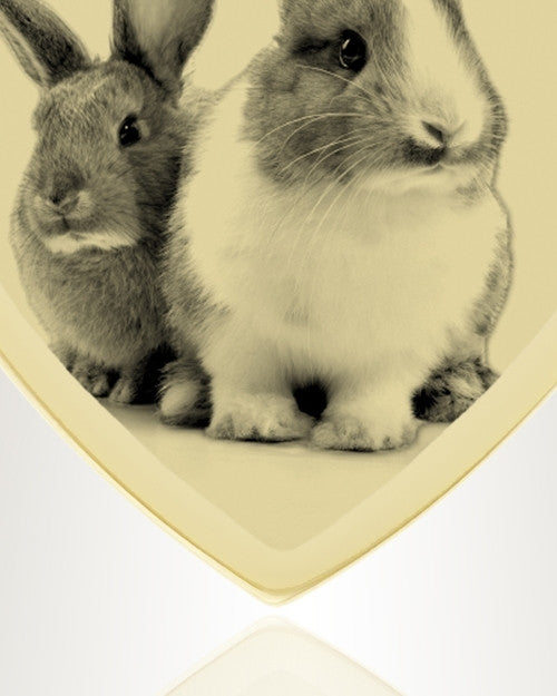Small Heart Photo Engraved Gold Plated over Stainless Pet Keepsake