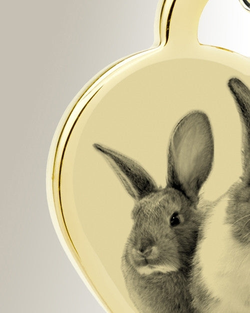 Small Heart Photo Engraved Gold Plated over Stainless Pet Keepsake