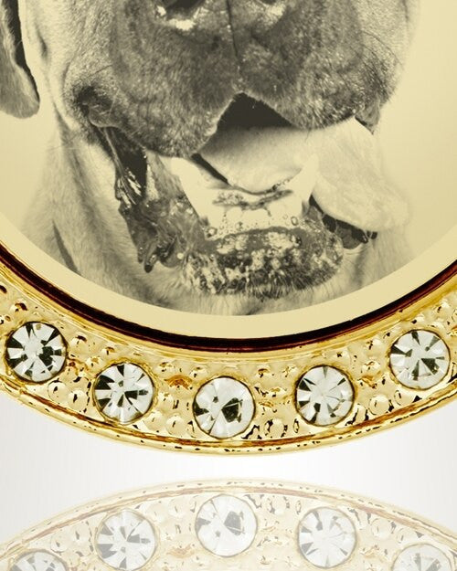 Gem Circle Photo Engraved Gold Plated over Stainless Pet Keepsake