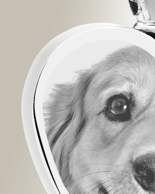 Heart Stainless Steel Photo Engraved Ash Pet Pendant