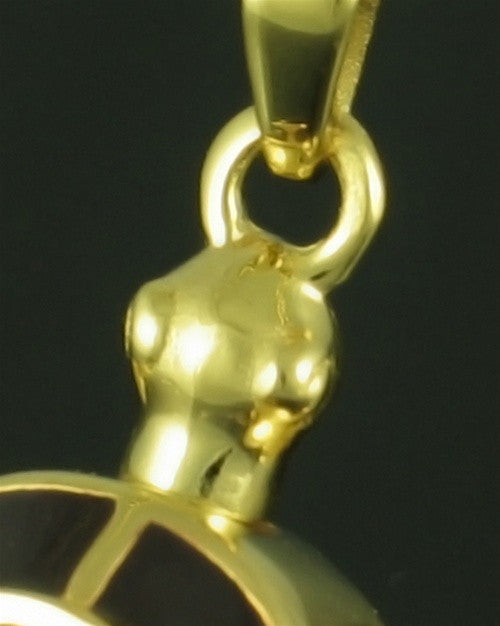 Gold Plated Amber Turtle Locket Jewelry