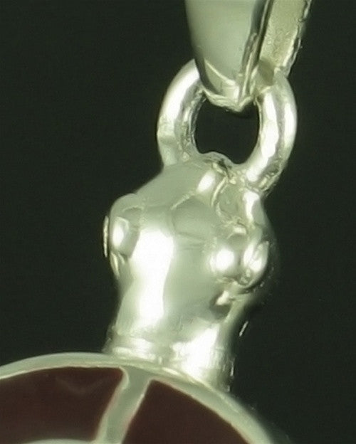 Sterling Silver Amber Turtle Locket Jewelry