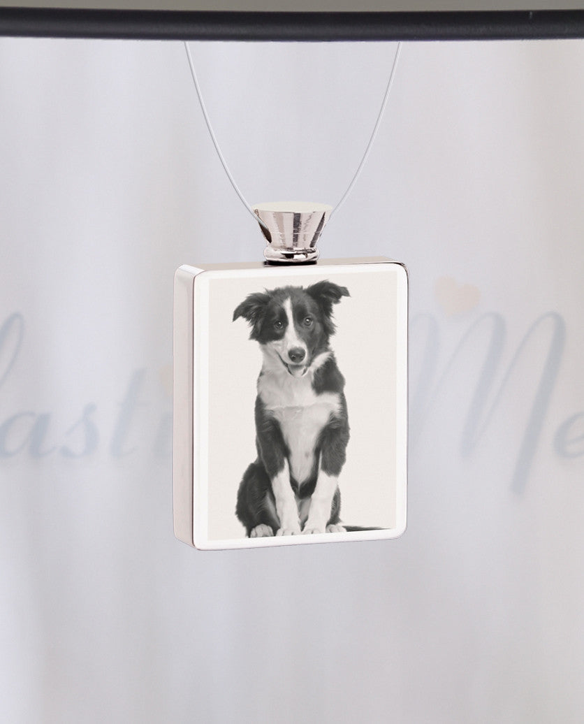 Rectangle Stainless Steel  Photo Engraved Pet Ash Guardian