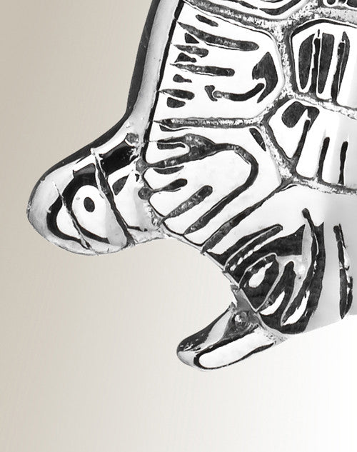 Stainless Turtle Memorial Ash Keepsake