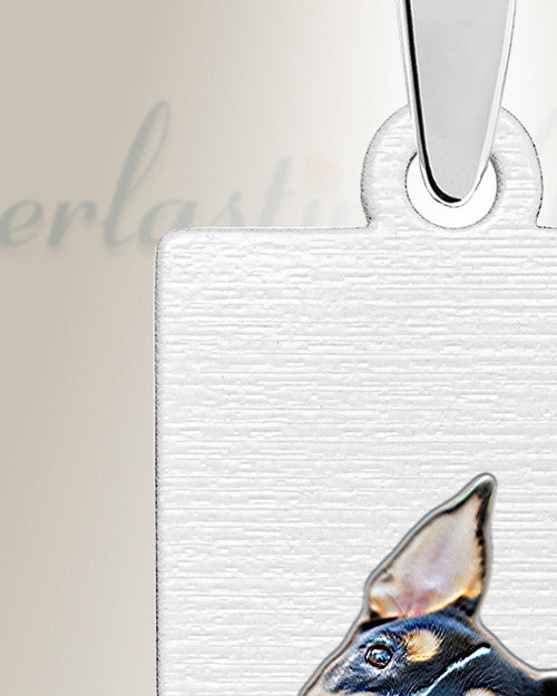 Rectangle Pet Color Photo Engraved Stainless Keepsake