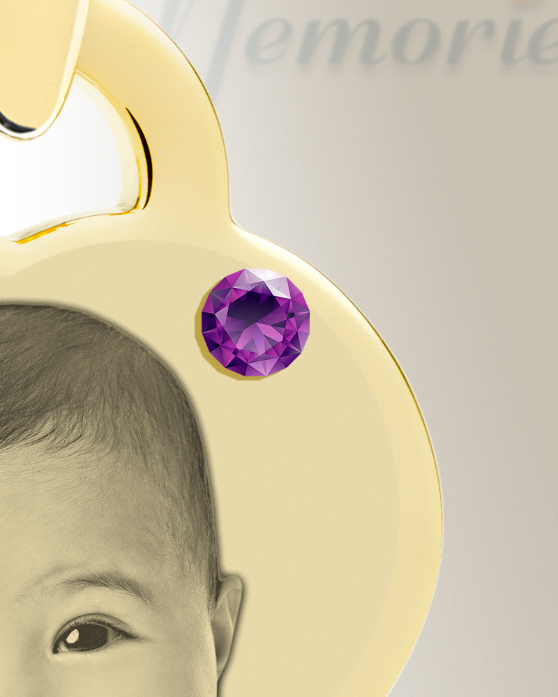Birthstone Small Heart February Photo Engraved Gold Plated over Stainless Keepsake