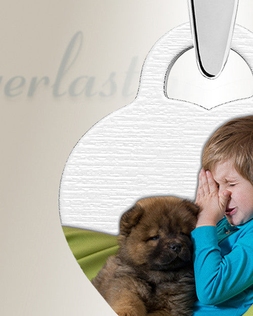 Pet Small Heart Color Photo Engraved Stainless Keepsake