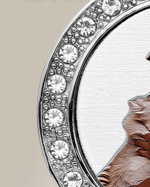 Pet Gem Circle Color Photo Engraved Stainless Keepsake