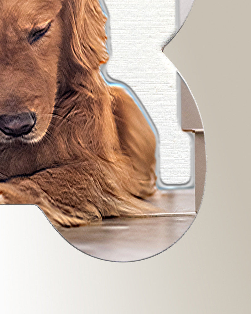 Silver Dog Treat Color Photo Pendant