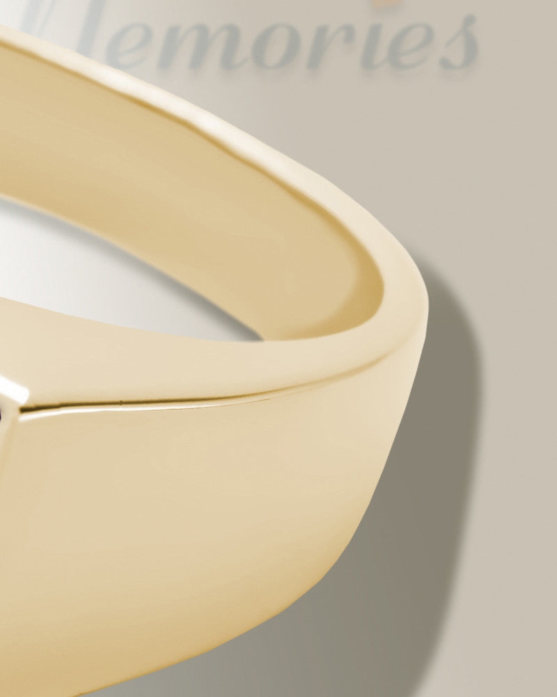 Solid 14K Gold Men's Drexel Ash Ring with Slate