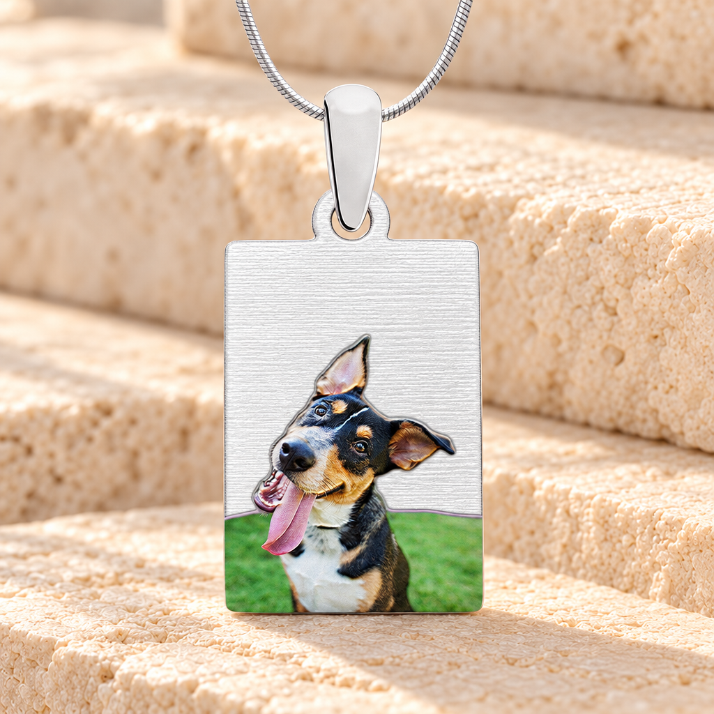 Rectangle Pet Color Photo Engraved Stainless Keepsake — main — evr6408sfc